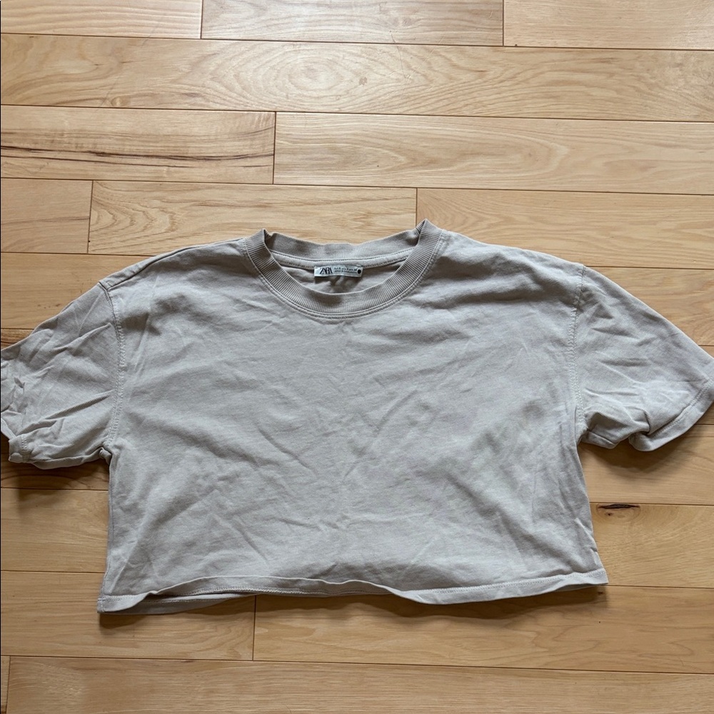 Zara Cropped Crewneck Tee in Light Taupe
